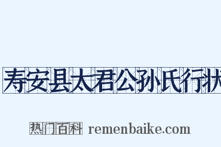 寿安县太君公孙氏行状是什么意思的图片